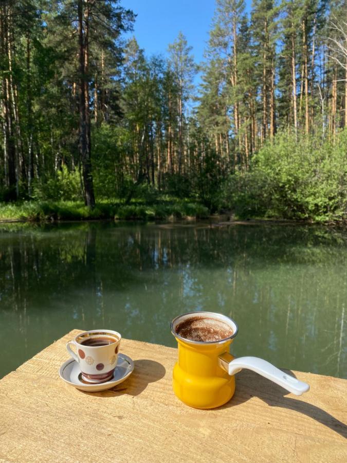 Forest And Lake Боровое Экстерьер фото