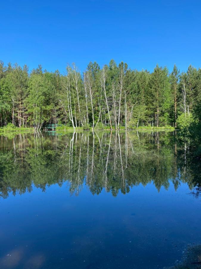 Forest And Lake Боровое Экстерьер фото