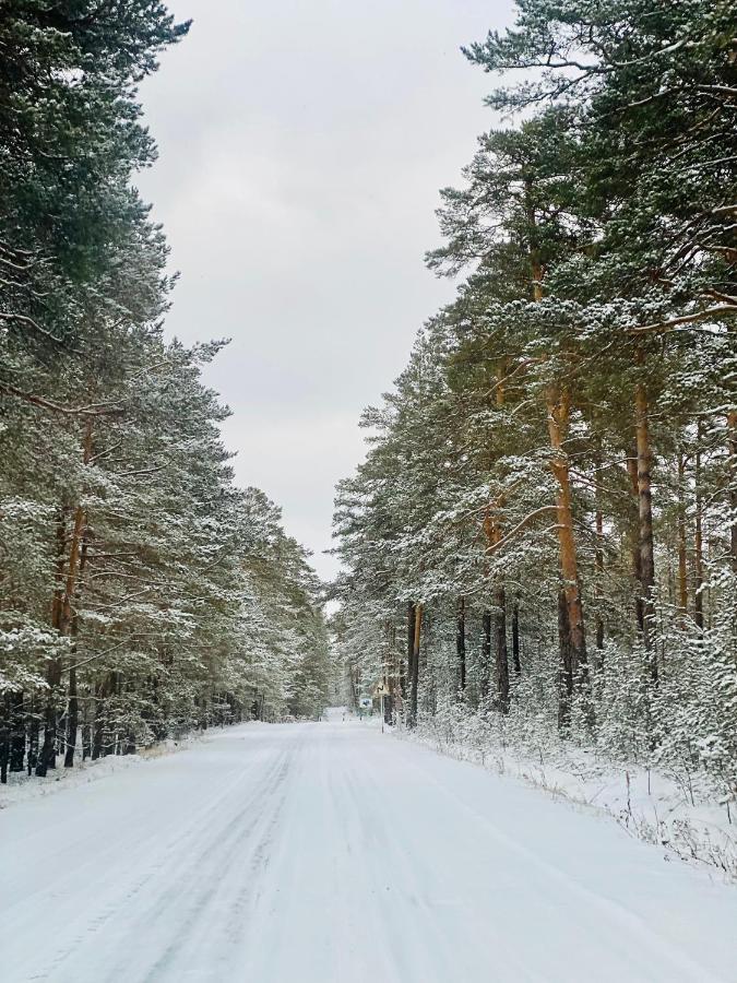 Forest And Lake Боровое Экстерьер фото