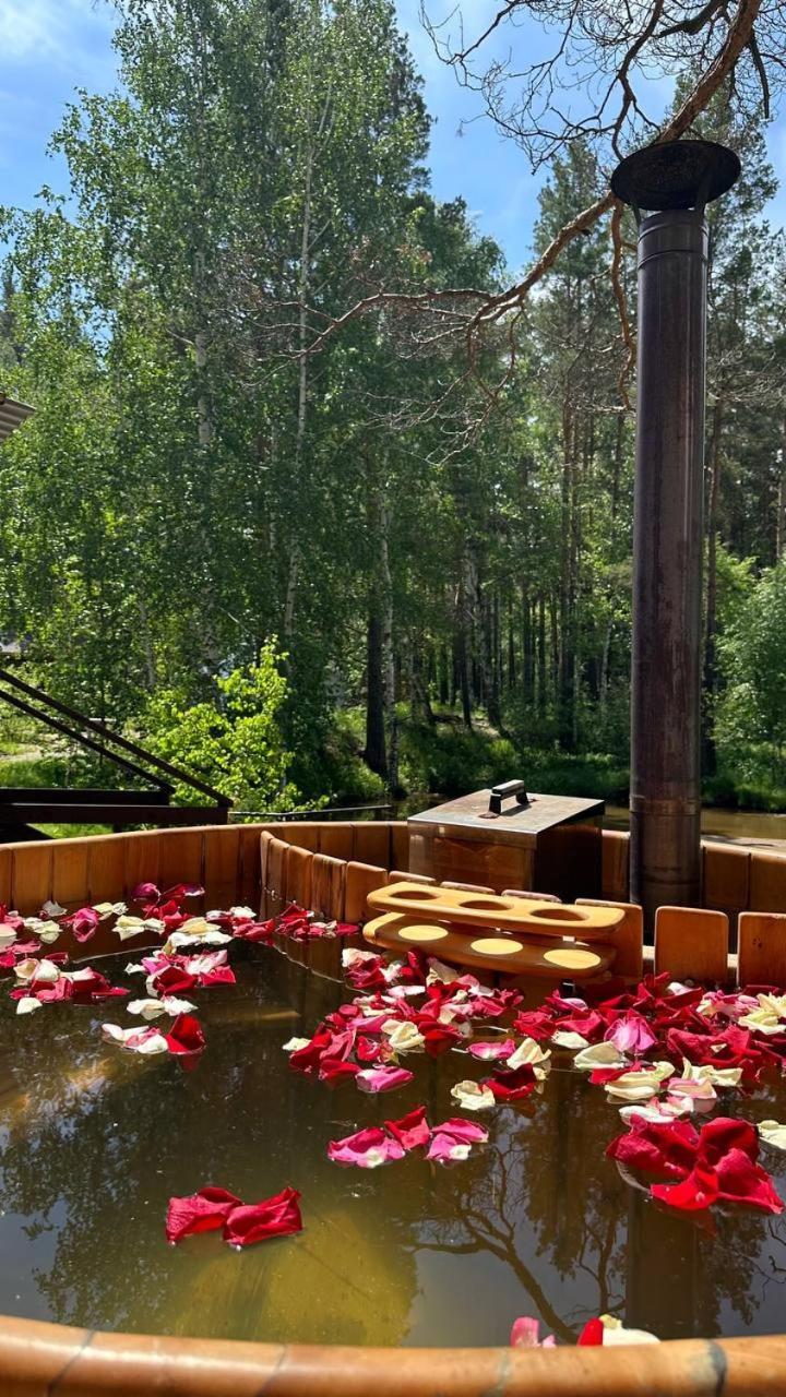 Forest And Lake Боровое Экстерьер фото